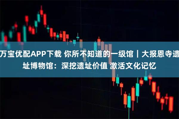 万宝优配APP下载 你所不知道的一级馆｜大报恩寺遗址博物馆：深挖遗址价值 激活文化记忆