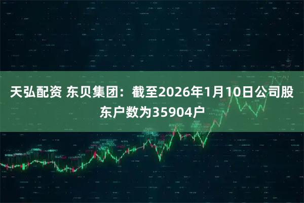 天弘配资 东贝集团：截至2026年1月10日公司股东户数为35904户