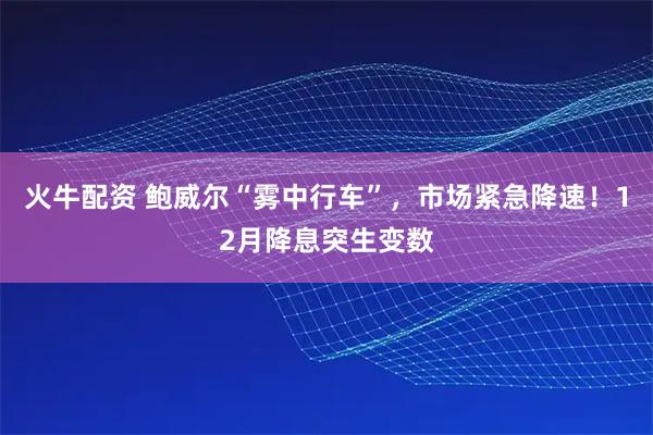 火牛配资 鲍威尔“雾中行车”,市场紧急降速!12月降息突生变数